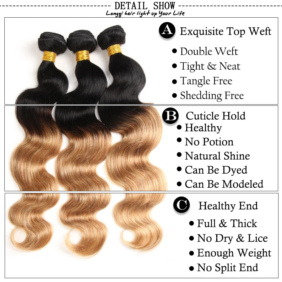 1b/27 Body Wave Bundles With Closure